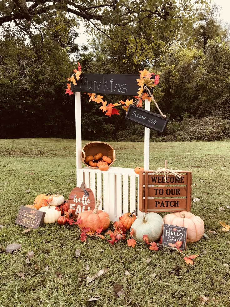 Fall Mini Sessions Fall Mini Session Ideas, Fall Mini Shoot, Fall Photo Booth, Halloween Mini Session, Fall Photo Props, Fall Baby Pictures, Portret Feminin, Baby Photography Backdrop, Fall Minis