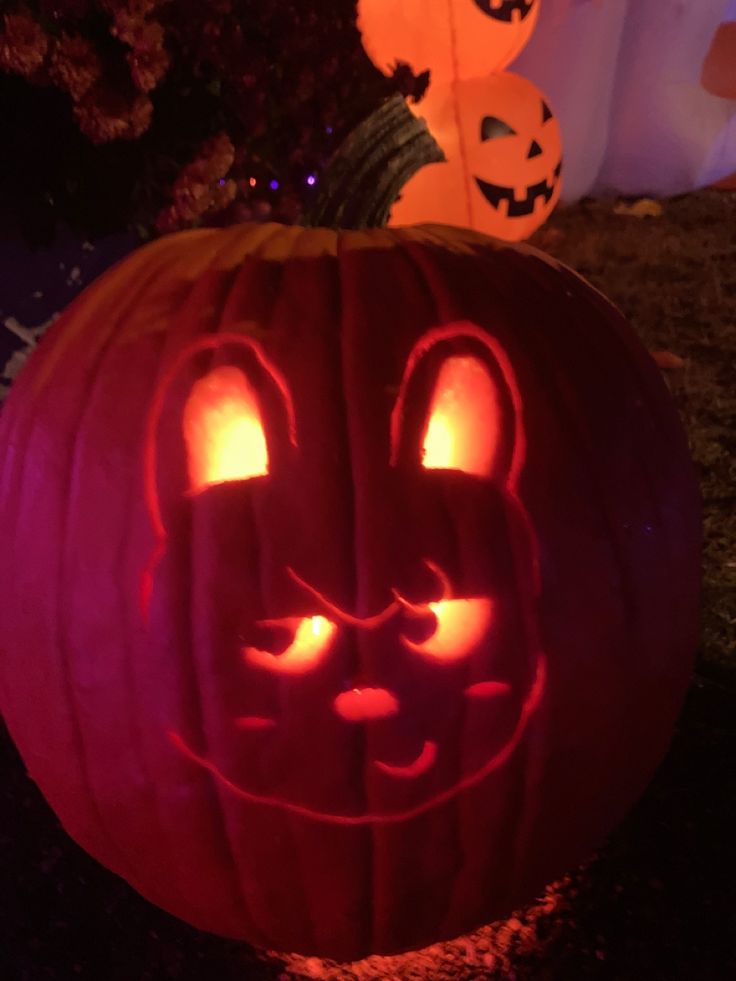 a pumpkin carved to look like a cat with glowing eyes and ears is lit up in the dark