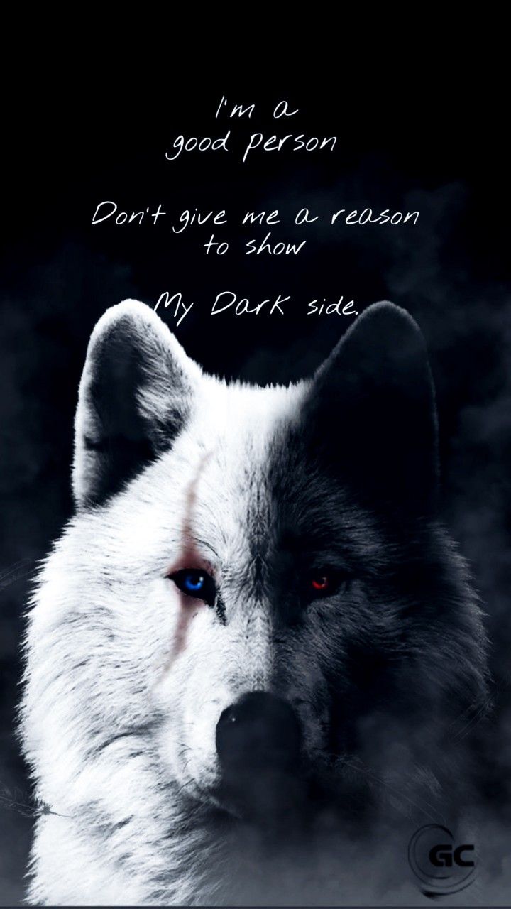 a white wolf with blue eyes stares into the distance in front of a dark background that says, i am a good person don't give me a reason to show my dark side