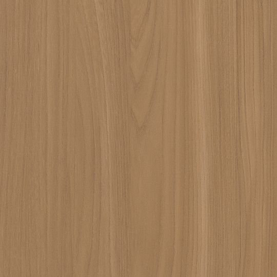 a close up view of the wood grains on this wallpapered surface, which is light brown