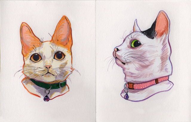 two drawings of cats with collars on their heads, one white and the other orange