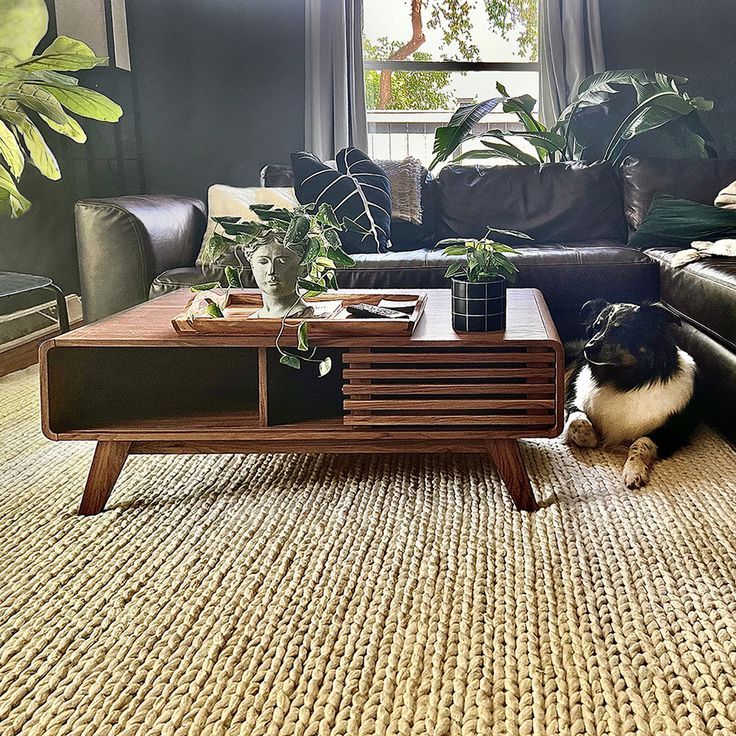 a dog sitting on the floor in front of a coffee table with plants and potted plants