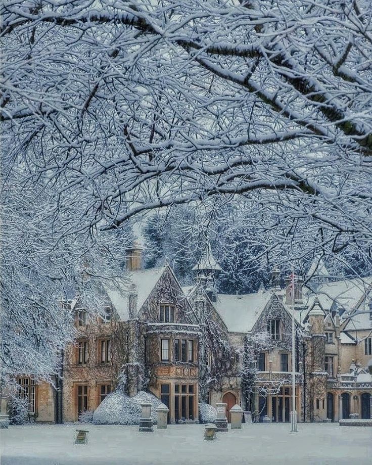 a large house covered in snow next to trees