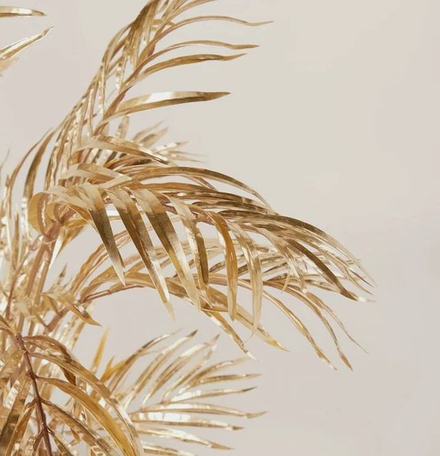 a plant with gold leaves in front of a white wall