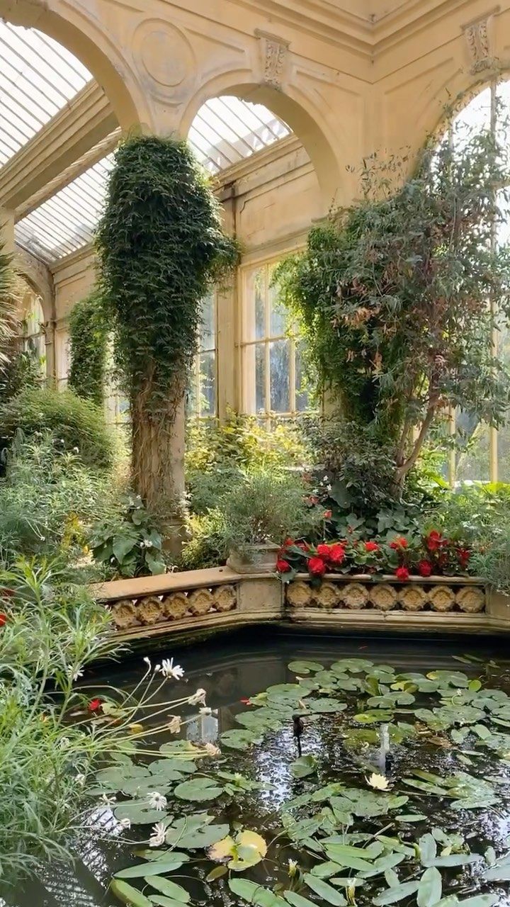 the inside of a building with lots of plants and water lilies