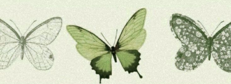 three green butterflies are shown in four different positions, one is black and the other is white