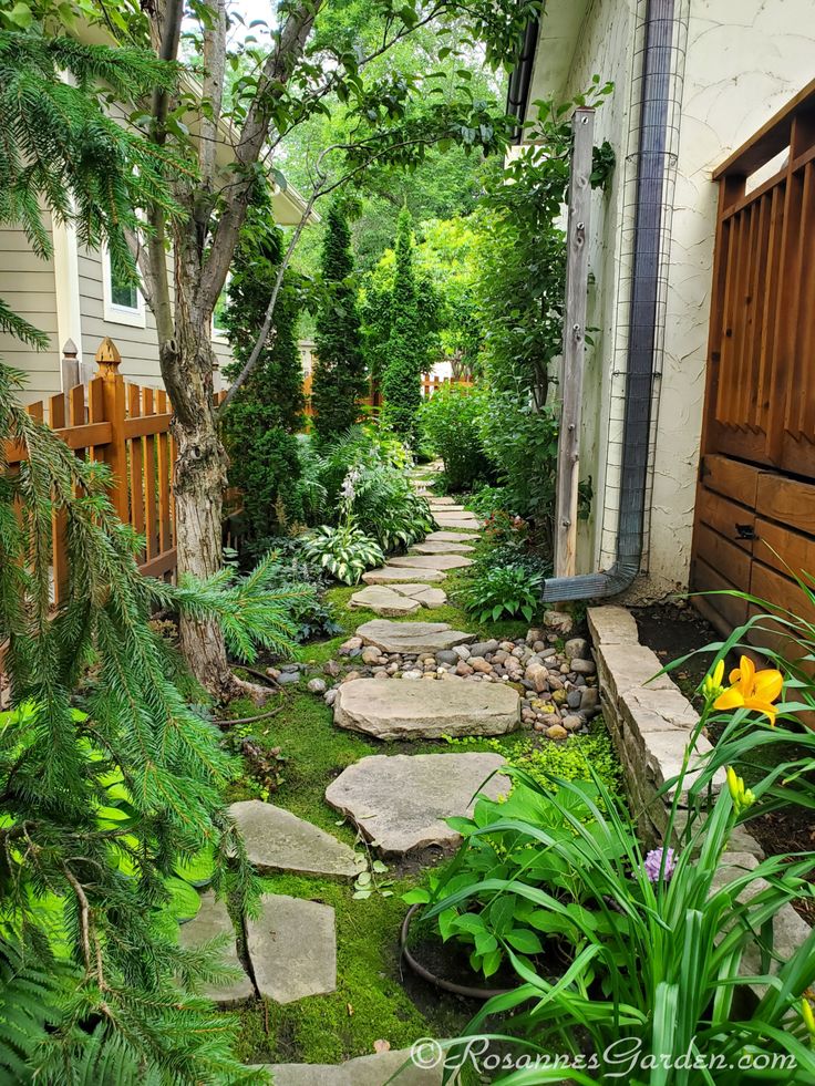 a garden with stepping stones, plants and trees