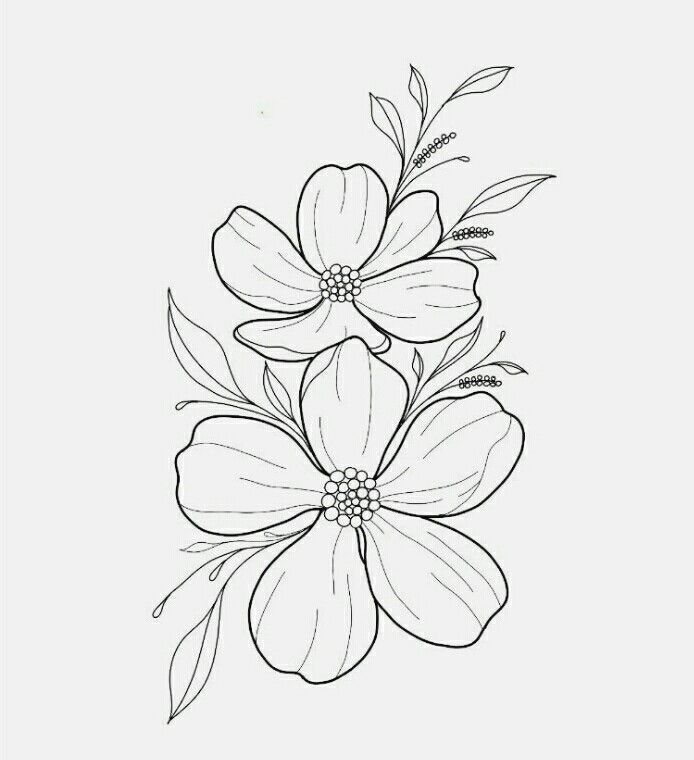 some flowers that are in the middle of a line art drawing style, with one flower on