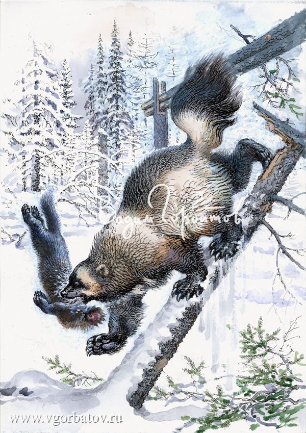 a painting of a squirrel climbing on a tree branch in the snow with pine trees behind it