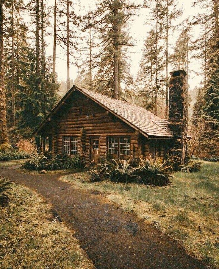 a log cabin in the middle of a forest with tall trees and grass around it