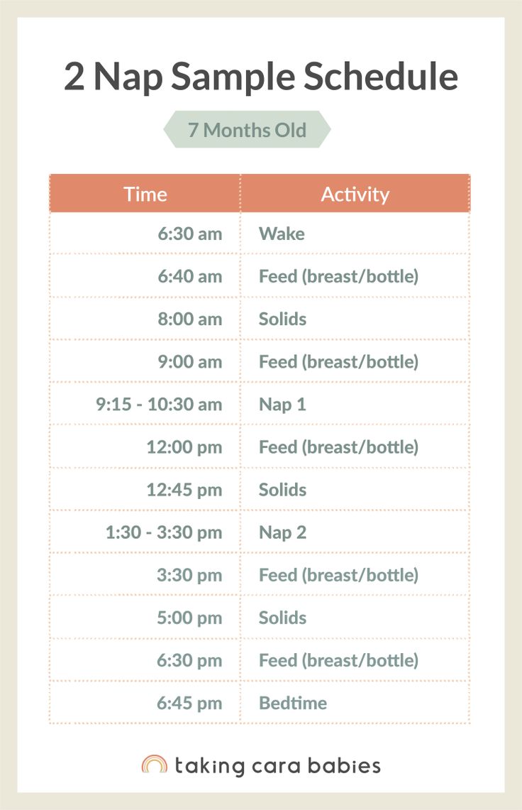 the 3 nap sample schedule is shown