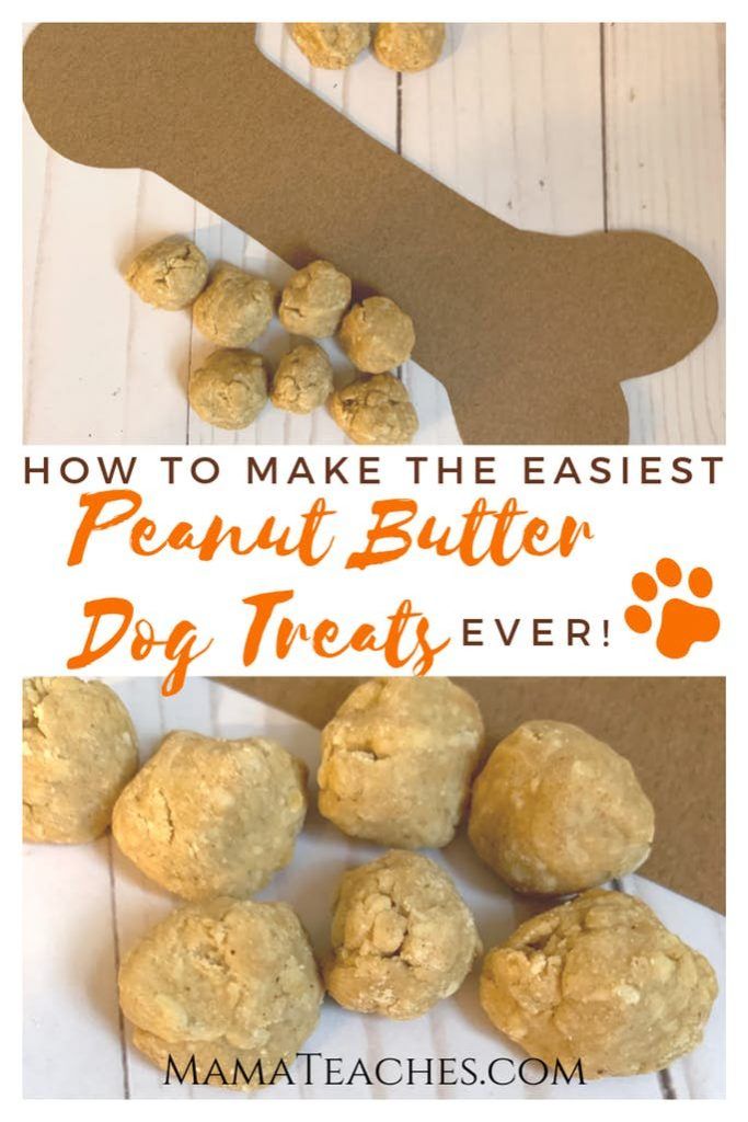 peanut butter dog treats with the words how to make the easyest peanut butter dog treat ever