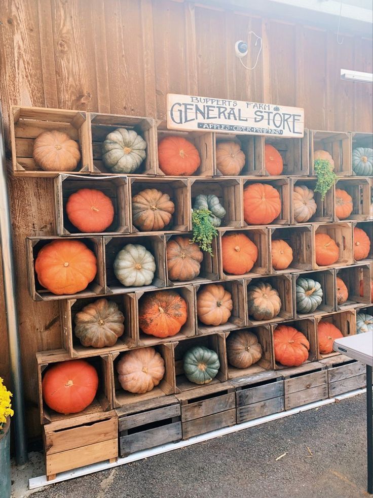 several wooden crates filled with pumpkins sitting on the side of a building next to flowers