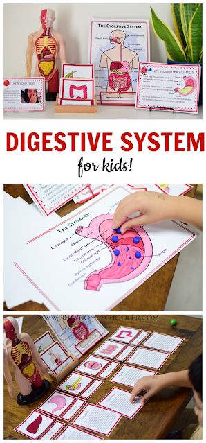 a collage of pictures showing different activities for kids to do with the digest system