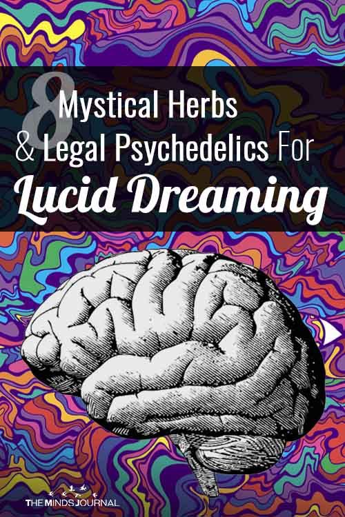 8 Mystical Herbs And Legal Psychedelics For Lucid Dreaming Egypt Civilization, Lucid Dreaming Techniques, Dream Herbs, Spirit Communication, Spiritual Cleansing, Become Wealthy, Chinese Words, Lost My Job, Mindfulness Journal