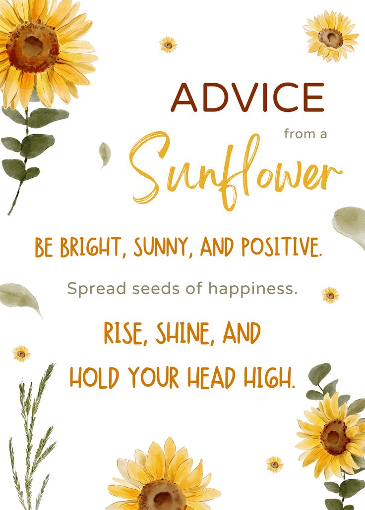 a sunflower with the words advice from a sunflower, be bright, sunny and positive