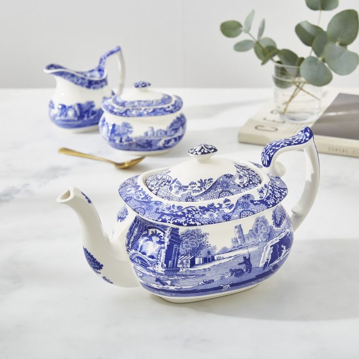 blue and white porcelain tea set on table next to potted plant with book nearby