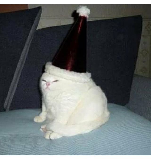 a white cat wearing a santa hat on top of a blue couch with grey pillows