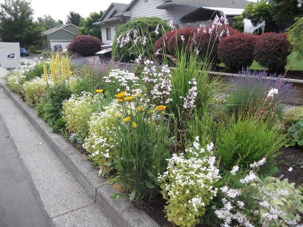 a garden filled with lots of flowers next to a road and houses in the background