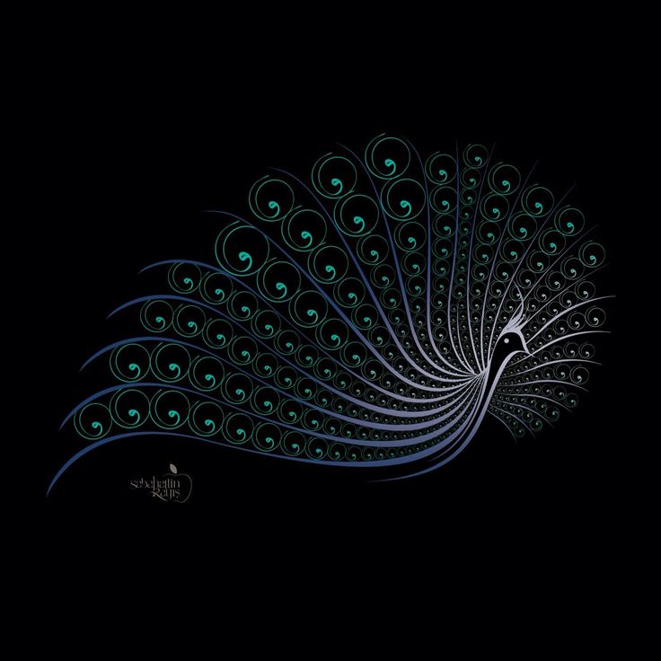 a blue and black peacock with its feathers spread out in the night sky on a dark background