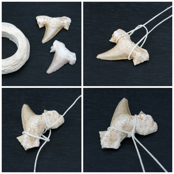 four pictures of different types of animal bones tied to strings on a black surface with white string