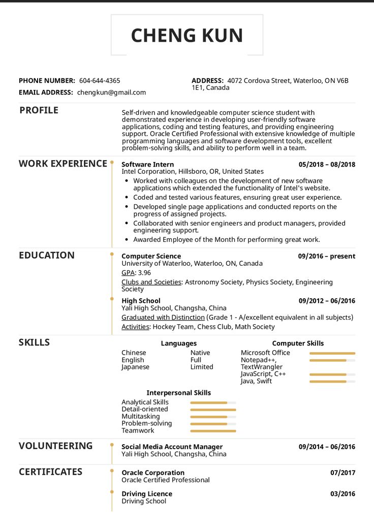 a professional resume with no work experience