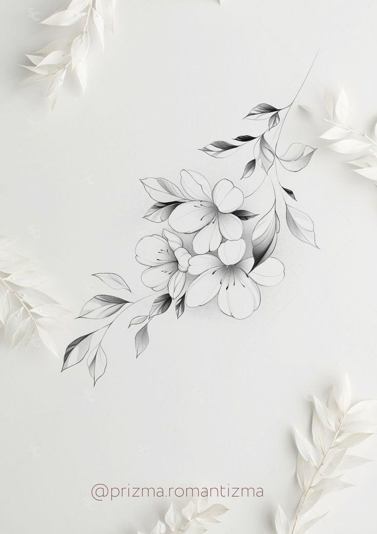 an artistic drawing of flowers and leaves on a white background with the words prima romantizza written below it