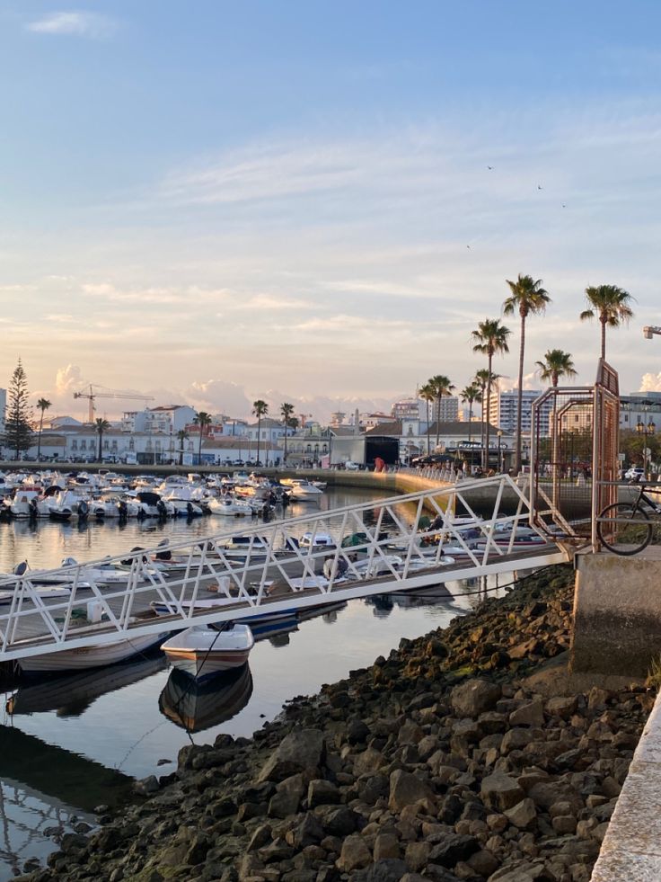 boats are docked at the marina in front of palm trees and other cityscapes