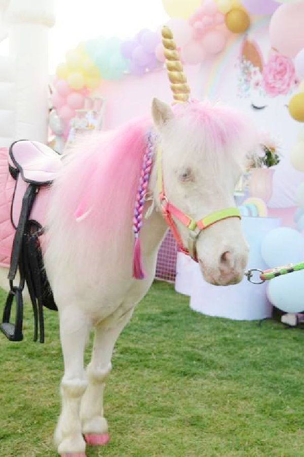 a white horse with pink mane standing in the grass next to balloons and other decorations