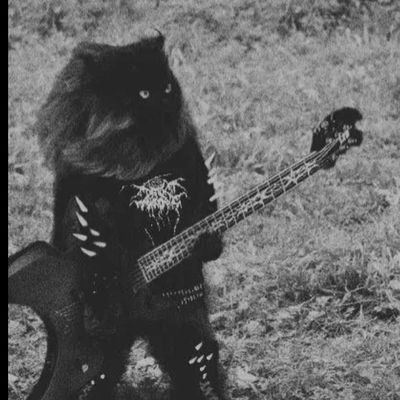 a black cat is holding a guitar in its paws and wearing a shirt with skulls on it