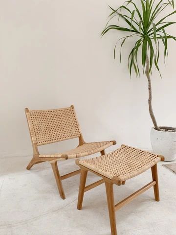 two wooden chairs sitting next to a potted plant on a white carpeted floor