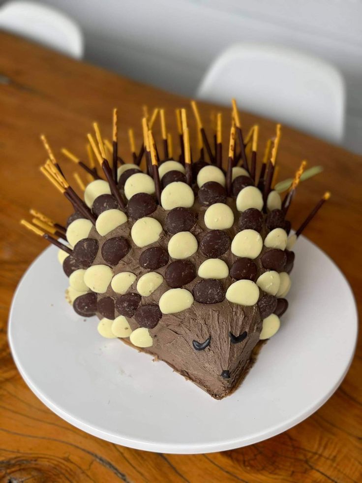 Chocolate buttercream porcupine cake with white and dark chocolate buttons and pokey sticks. Porcupine Cake, Hedgehogs, Nom Nom, Cake