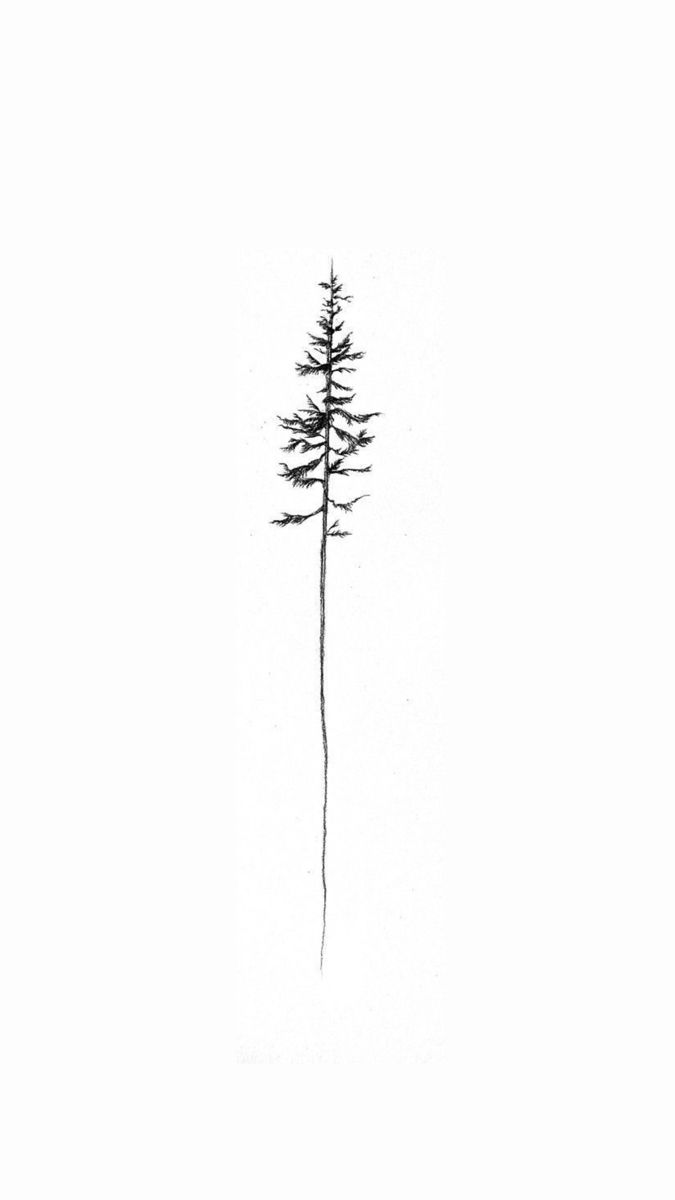 a black and white photo of a single pine tree in the middle of winter with snow on the ground