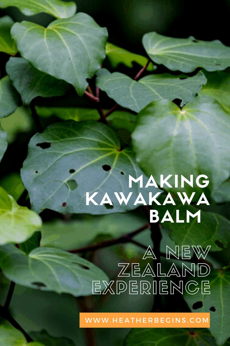 green leaves with the words making kawawaa balm