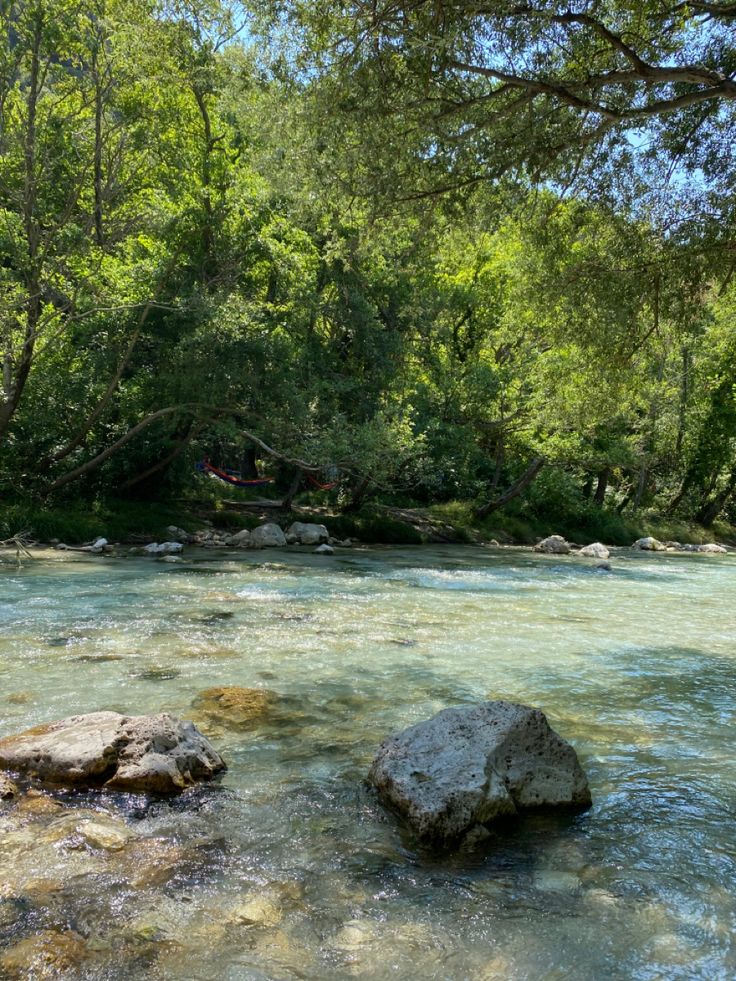 a river with rocks and trees in the background