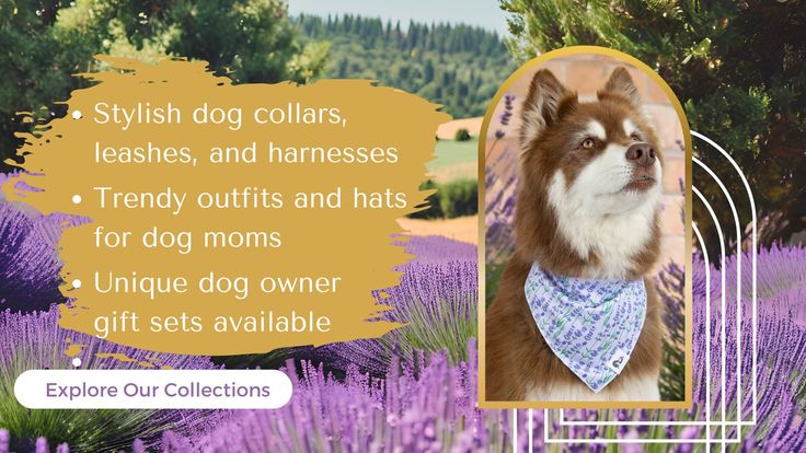 Stylish Dog Collars + Dog Moms Gifts and Clothes - Aria the Fox