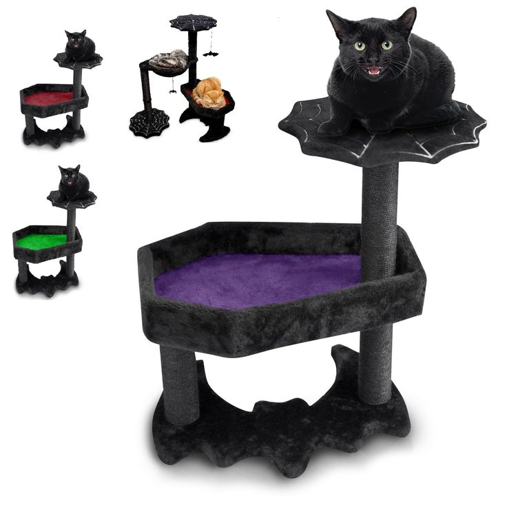 a black cat sitting on top of a purple scratching tower with several other cats around it