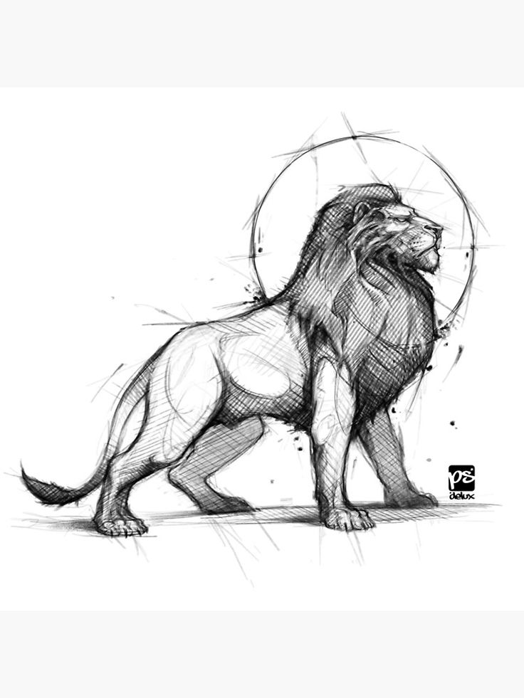 a drawing of a lion standing in front of a circle with the letter s on it