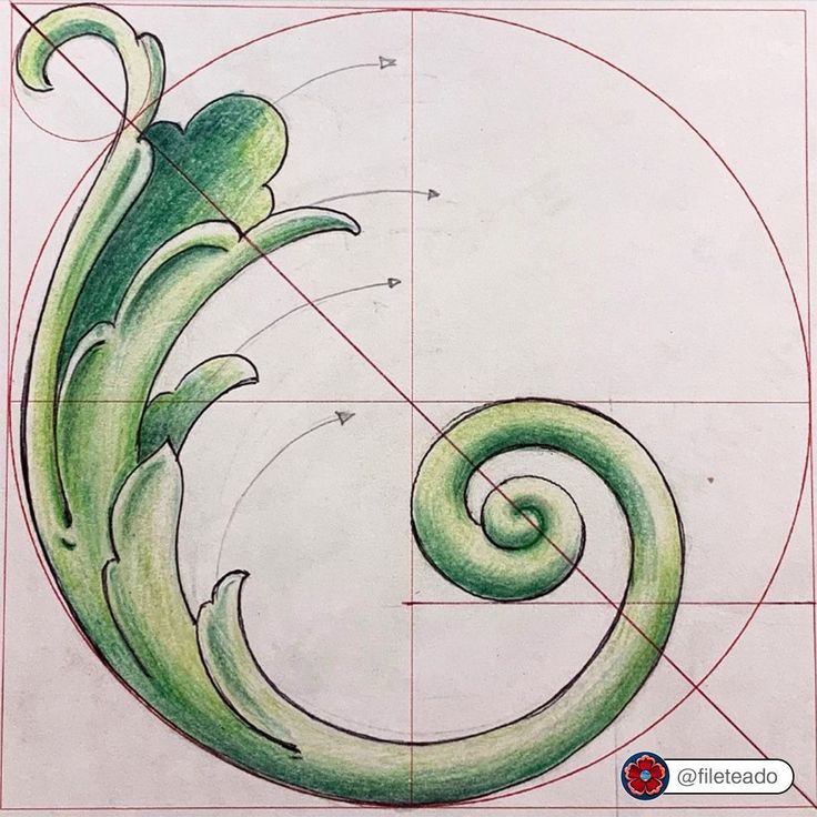 a drawing of a green plant with spirals on it's side and an inscribed circle in the middle