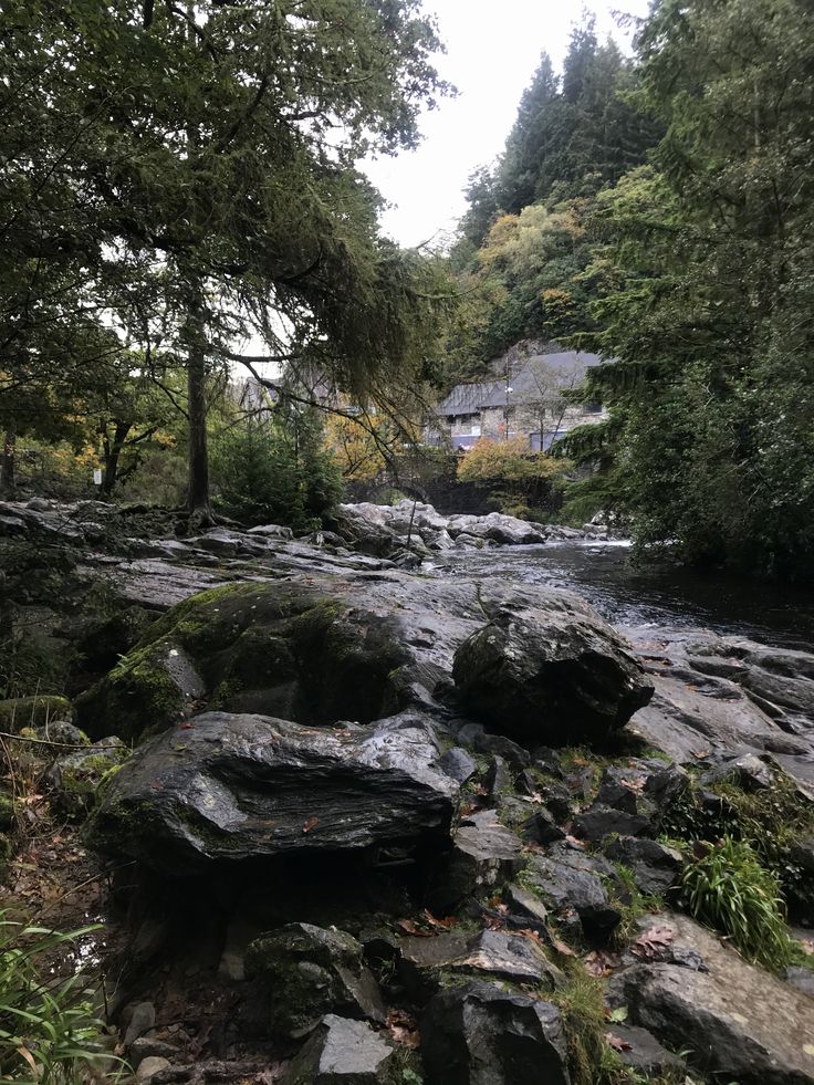 a river running through a forest filled with lots of rocks and trees in the background