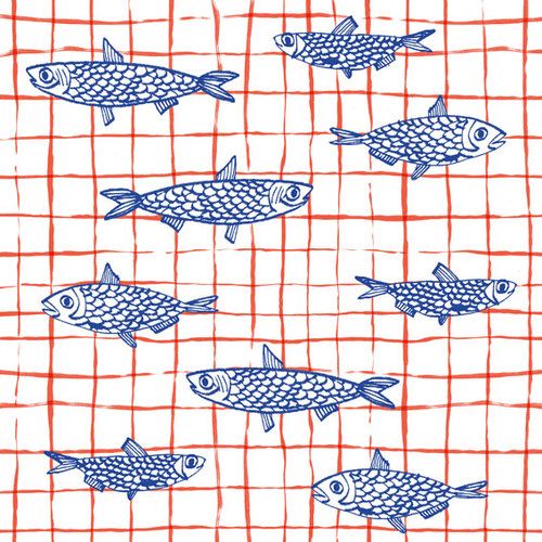 blue and red fish on a white background with orange grated lines in the center