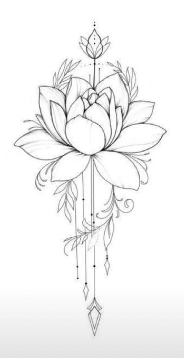 a drawing of a lotus flower with arrows on the side and an arrow in the middle