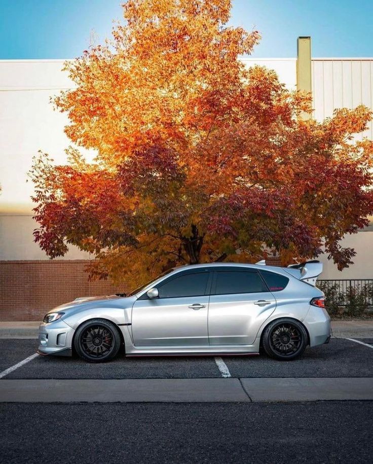 a silver car parked in front of a tree with orange and yellow leaves on it