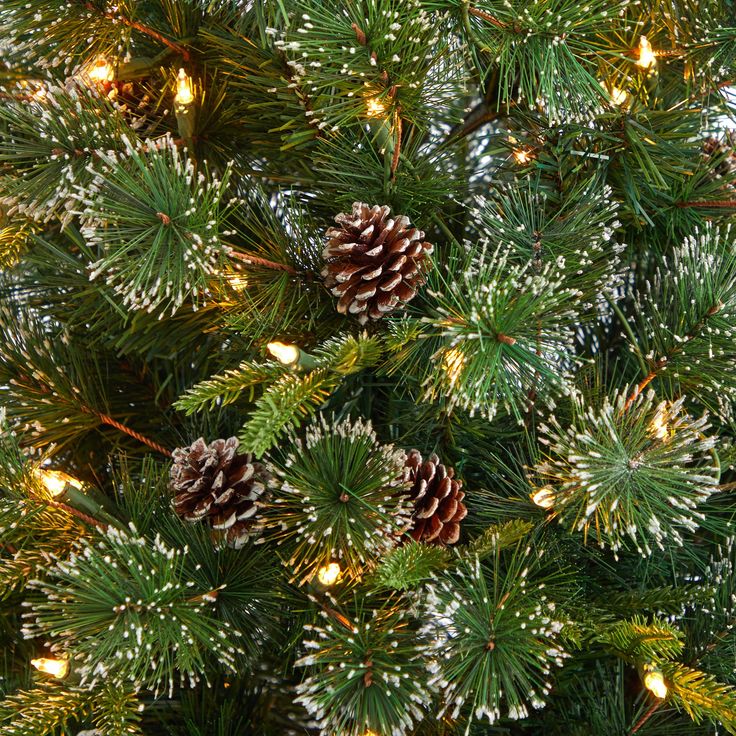 pine cones are covered with snow on the needles and green leaves, as well as white flecks