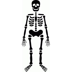 a black and white drawing of a skeleton