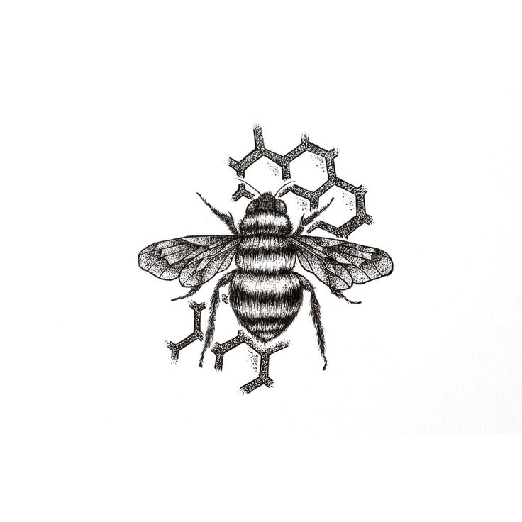 a black and white drawing of a bee