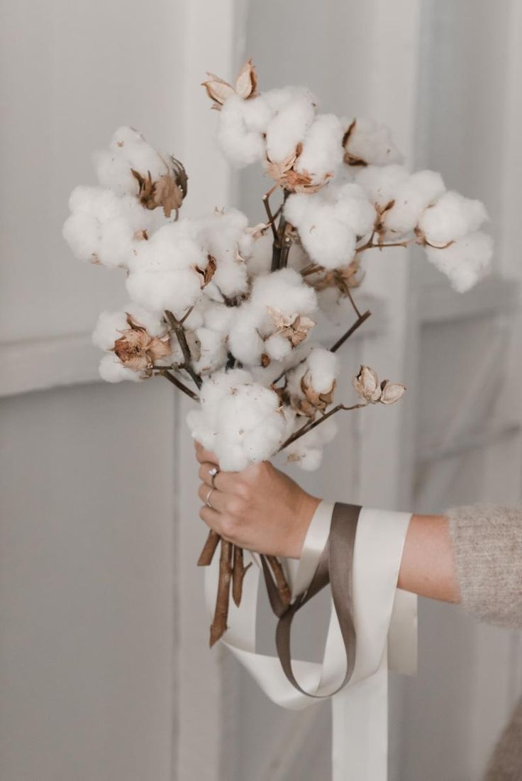 a person holding cotton flowers in their hands