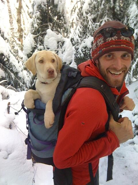 a man with a dog in his back pack on the snow covered ground and trees behind him