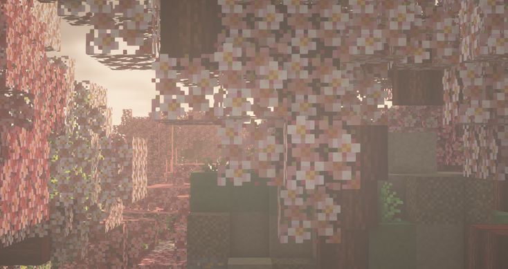 A close up picture of a cherry forest during sunset with warm lighting. Minecraft Aesthetic Background, Aesthetic Minecraft Background, Minecraft Cherry Blossom Tree Aesthetic, Minecraft Biomes O Plenty, Minecraft Background Aesthetic Laptop, Minecraft Texture Pack Aesthetic, Biomes O Plenty, Minecraft Desktop Wallpaper Hd 1080p, Aesthetic Minecraft Desktop Wallpaper