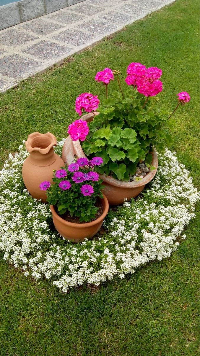 potted plants and flowers are placed in the grass